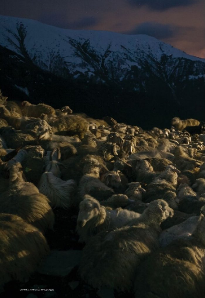 National Geographic България Юни/2021