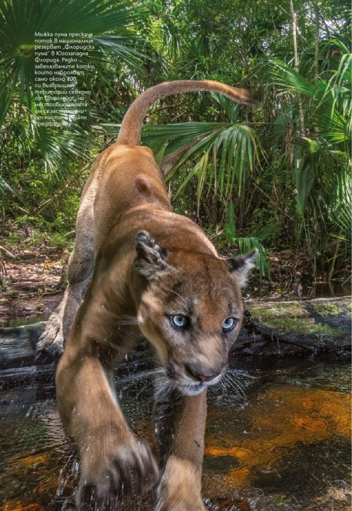 National Geographic България Юни/2021