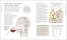 Wine A Tasting Course : From Grape to Glass