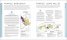 Wine A Tasting Course : From Grape to Glass