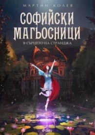Софийски магьосници 2: В сърцето на Странджа