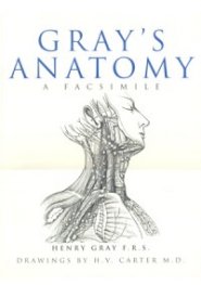 Gray's Anatomy a Facsimile