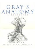 Gray's Anatomy a Facsimile