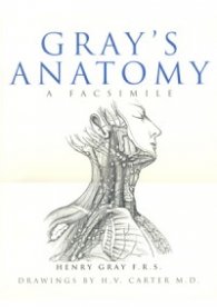 Gray's Anatomy a Facsimile