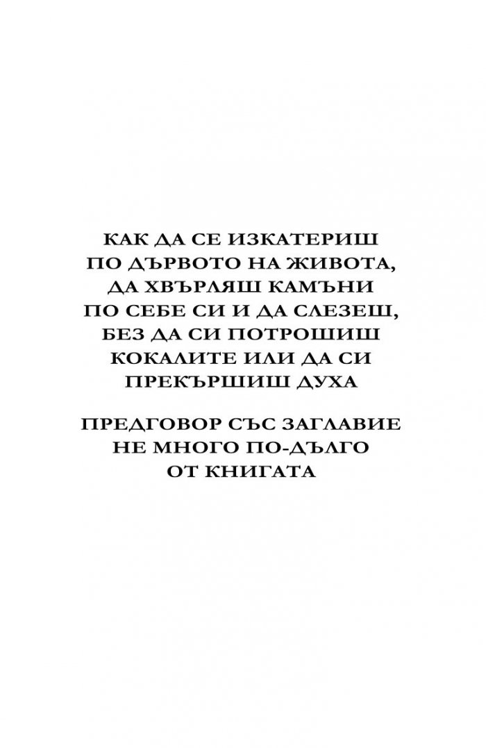 Дзен в изкуството да пишеш