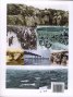 World War I Day By Day