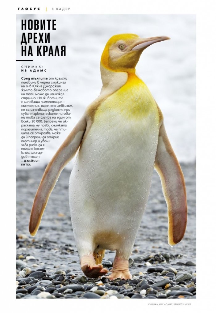 National Geographic България Юли/2021