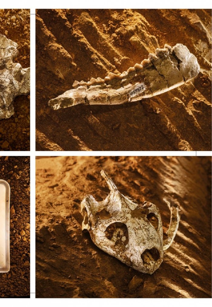 National Geographic България Юли/2021