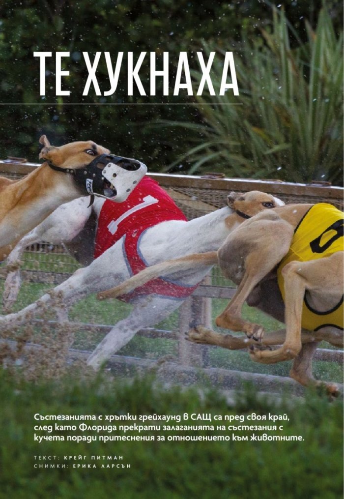 National Geographic България Юли/2021