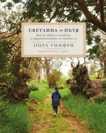 Светлина по пътя