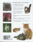 The Complete Illustrated Encyclopedia of Cats & Kittens