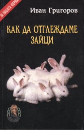 Как да отглеждаме зайци