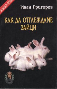 Как да отглеждаме зайци