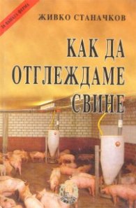 Как да отглеждаме свине