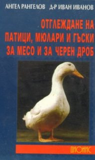 Отглеждане на патици, мюлари и гъски за месо и черен дроб