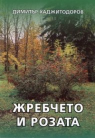 Жребчето и розата