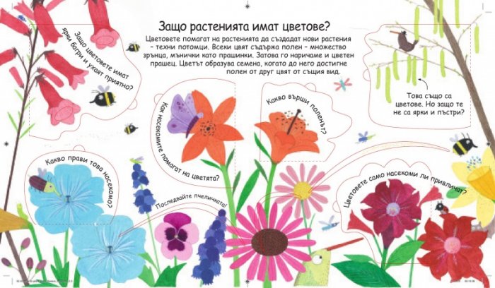 Първи въпроси и отговори: Как растат цветята? (Погледни под капачето)