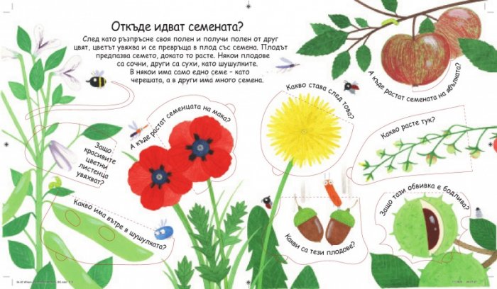 Първи въпроси и отговори: Как растат цветята? (Погледни под капачето)