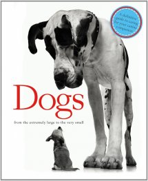 Dogs
