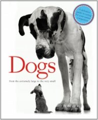 Dogs