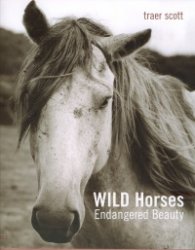 Wild Horses