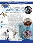 Да изследваме роботиката (Чудесата на познанието)