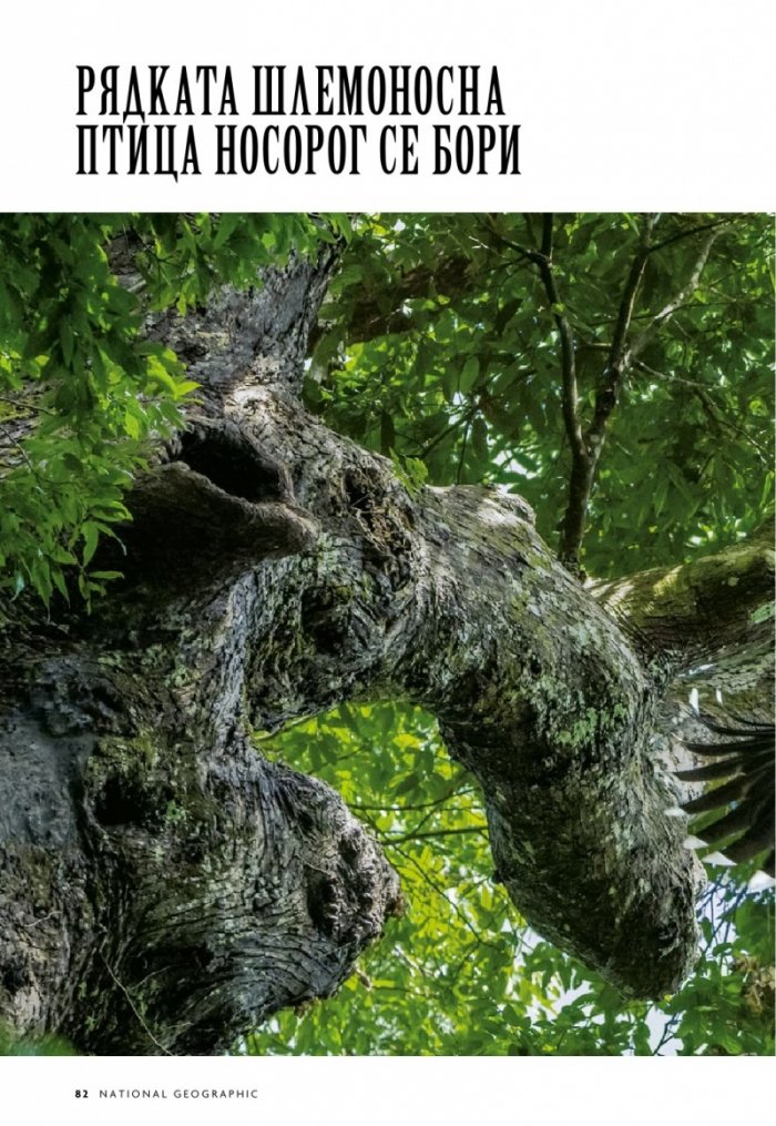 National Geographic България 1/2019