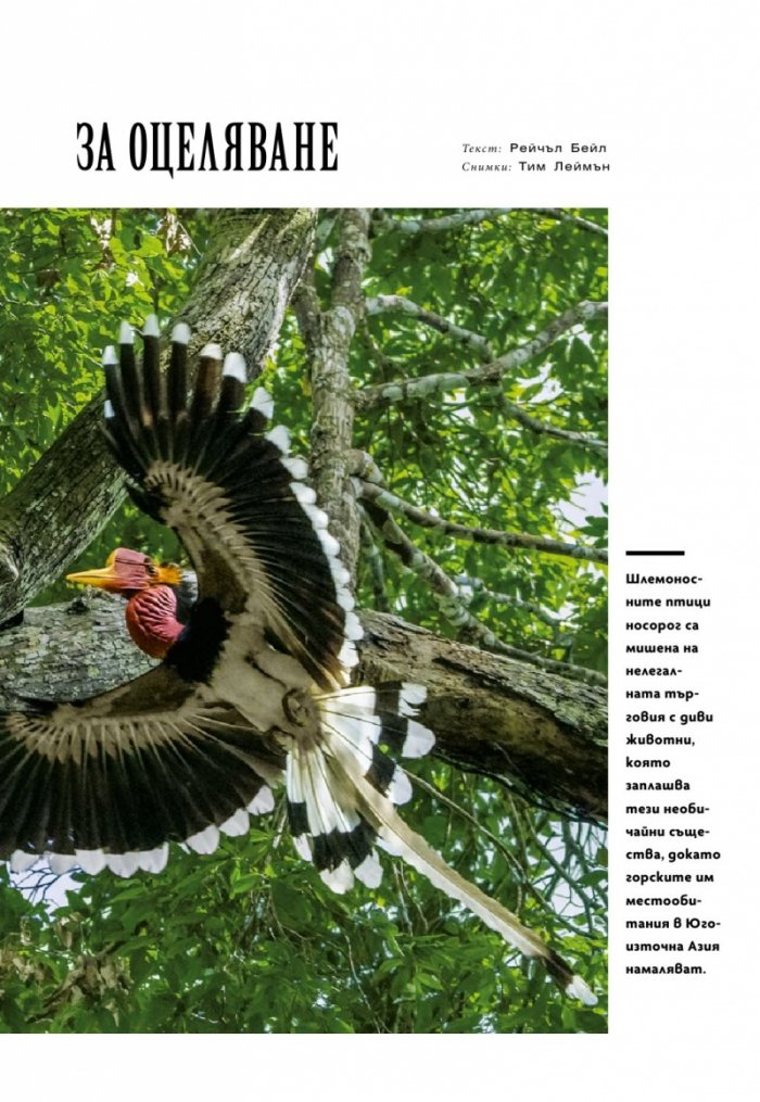 National Geographic България 1/2019