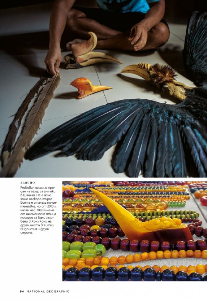 National Geographic България 1/2019