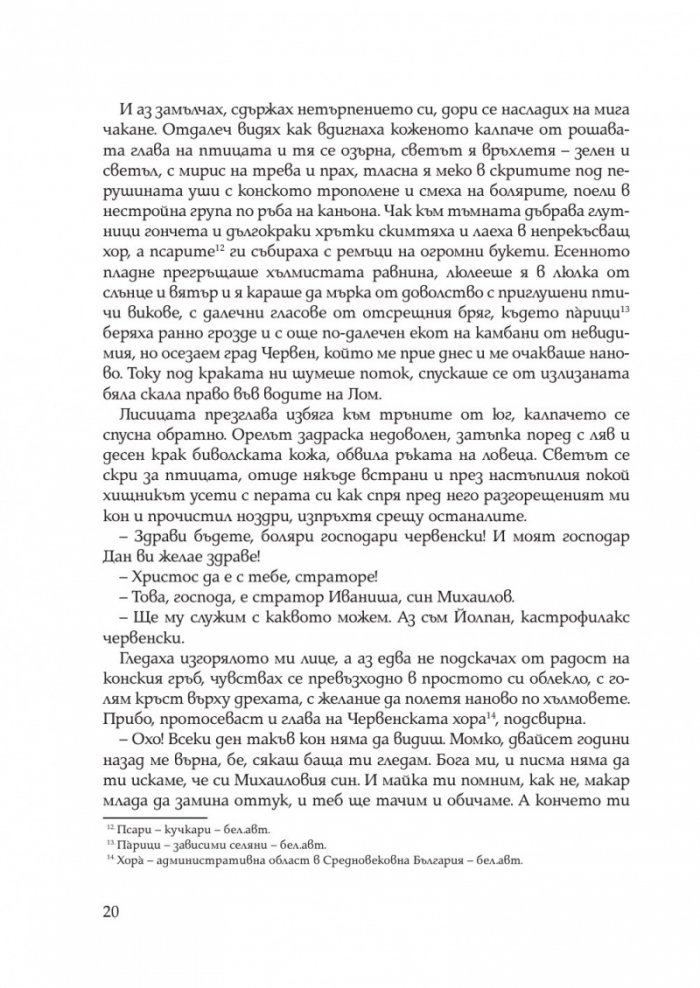 Иваниша от Севера. Исторически роман
