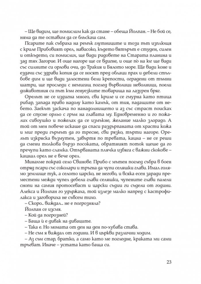 Иваниша от Севера. Исторически роман
