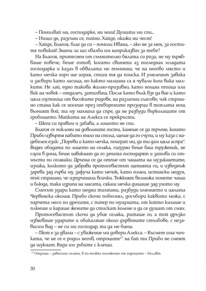 Иваниша от Севера. Исторически роман
