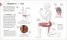 Science of HIIT
