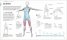 Science of HIIT