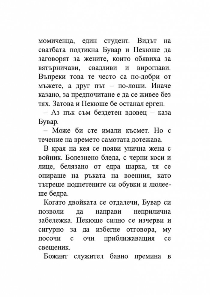 Бувар и Пекюше