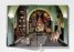 Massimo Listri. Cabinet of Curiosities