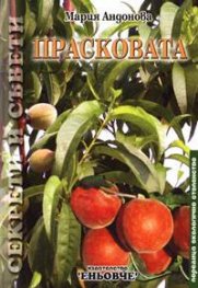 Прасковата