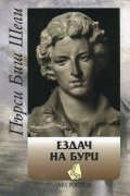 Ездач на бури