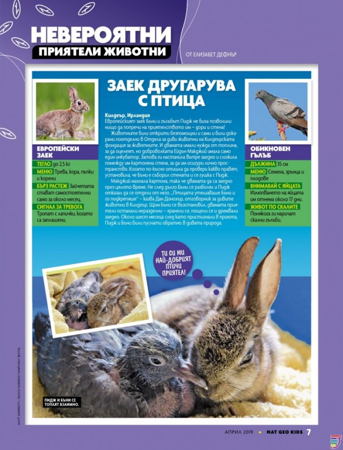 National Geographic KIDS България 4/2019