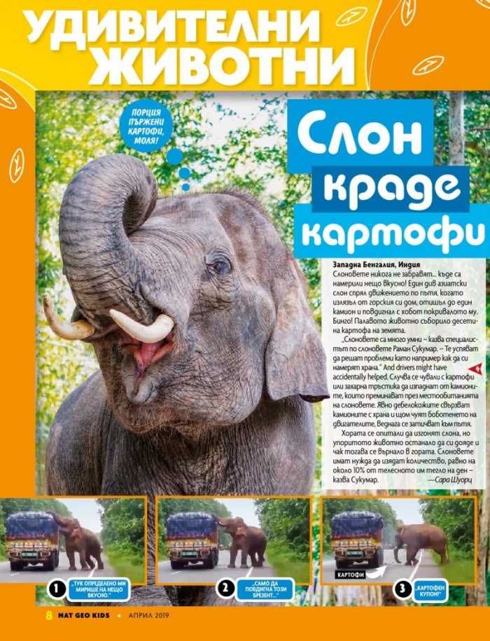 National Geographic KIDS България 4/2019