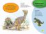Динозаврите - Енциклопедия II