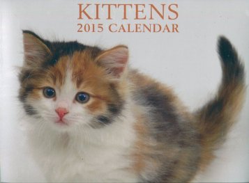 Calendar 2015: Kittens