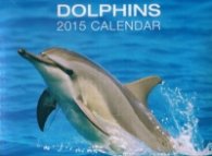 Calendar 2015: Dolphins
