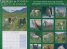 Calendar 2015: Horses & Ponies