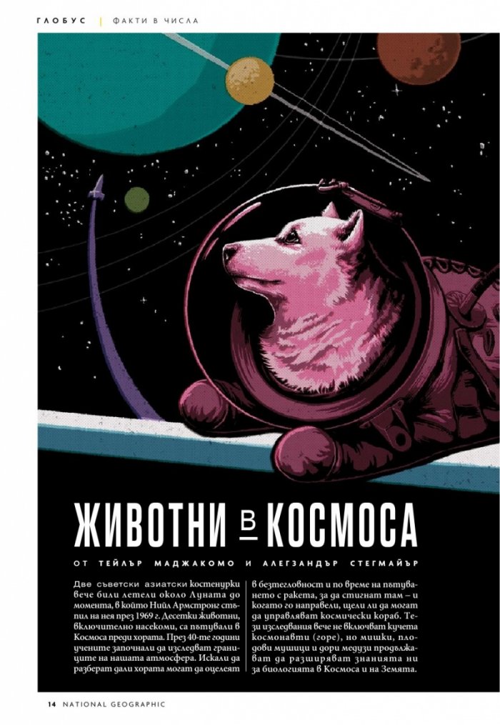 National Geographic България Ноември/2021