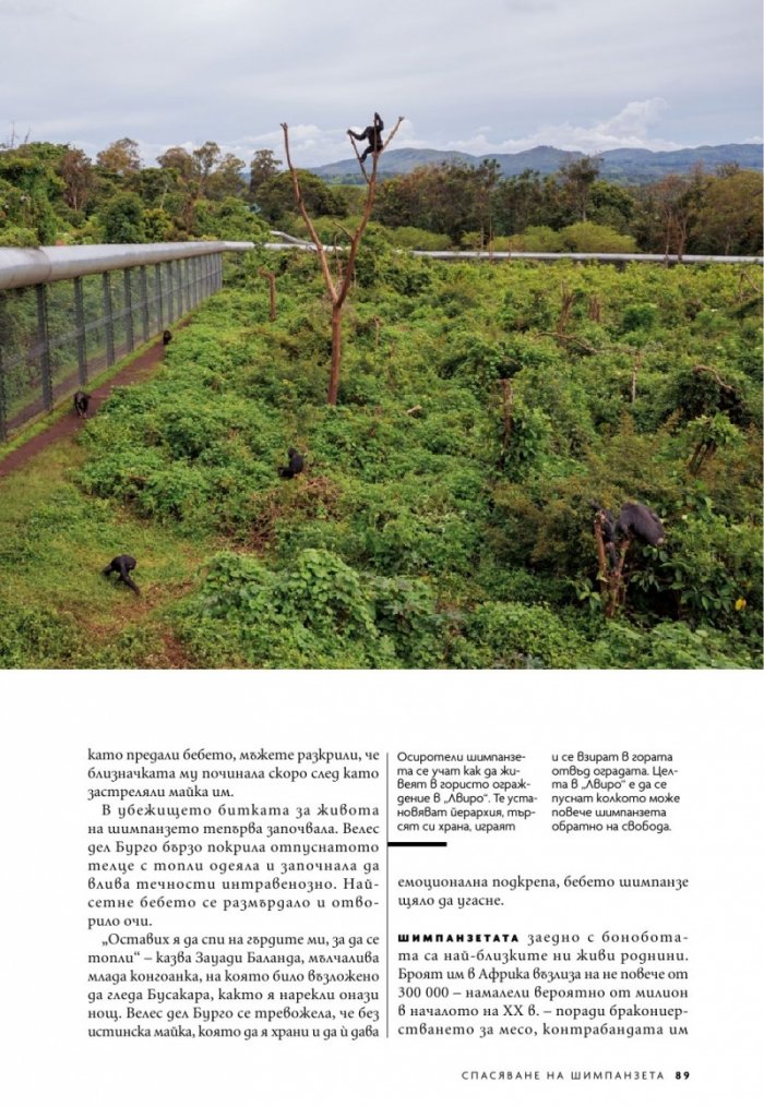 National Geographic България Ноември/2021