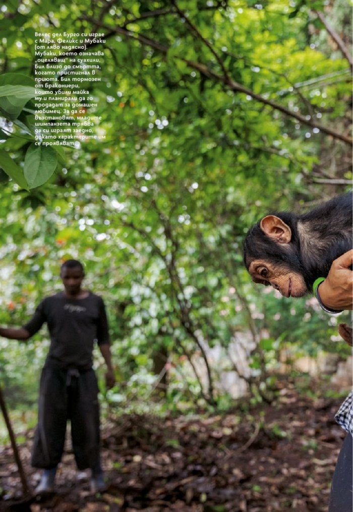 National Geographic България Ноември/2021