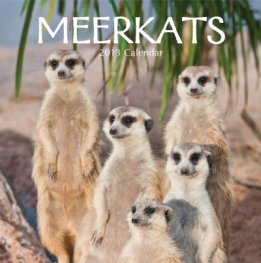 Calendar 2013: Meerkats