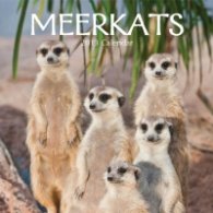 Calendar 2013: Meerkats