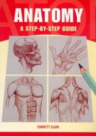 Anatomy: A Step-by-Step Guide